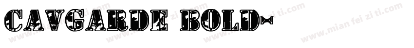 CAVGarde Bold字体转换